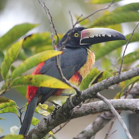 Nature Resort Bermudian Landing Eksteriør billede