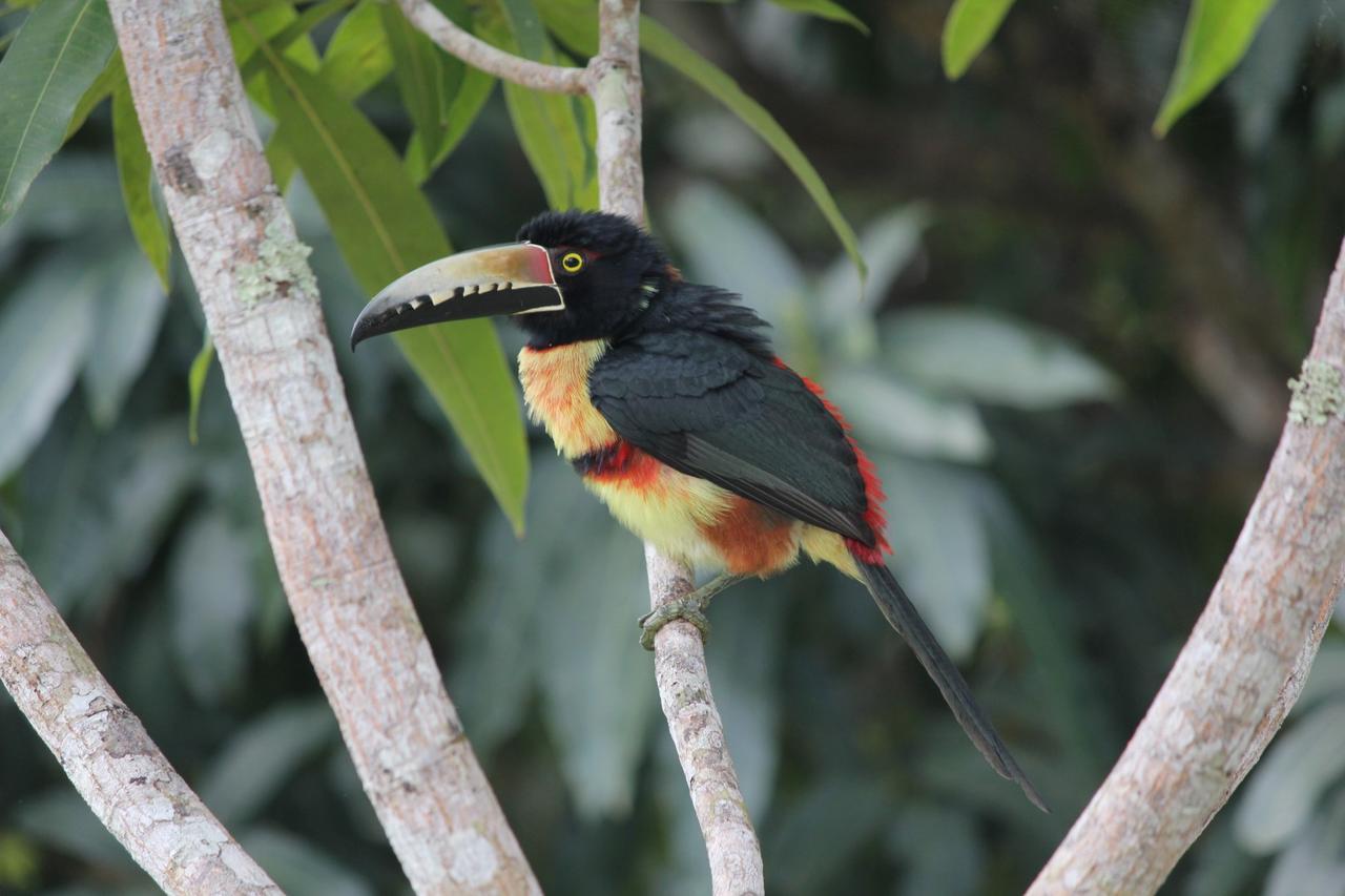 Nature Resort Bermudian Landing Eksteriør billede