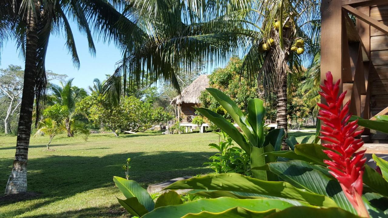 Nature Resort Bermudian Landing Eksteriør billede